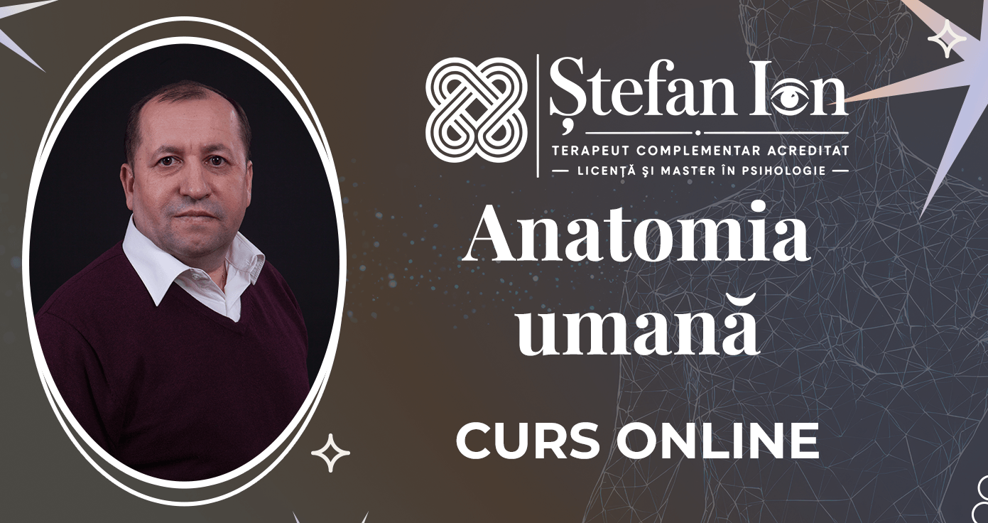 Ştefan Ion v2 - Curs - Anatomia umană